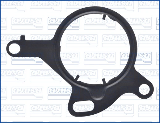Gasket, vacuum pump