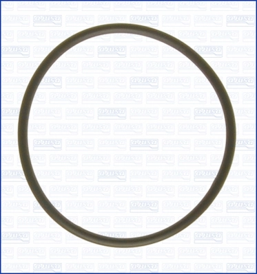 Seal Ring, water pump