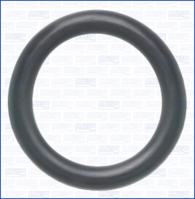 Seal Ring, coolant pipe