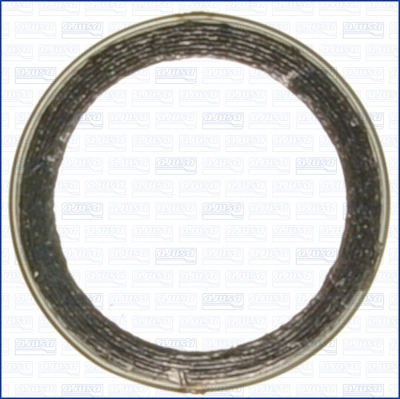 Seal Ring, exhaust pipe