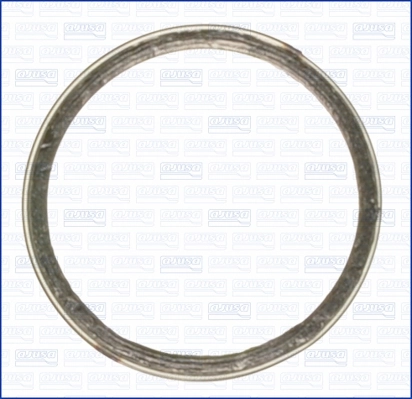Seal Ring, exhaust pipe