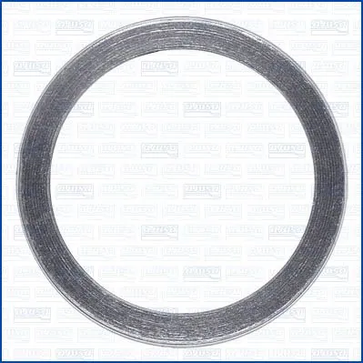 Seal Ring, exhaust pipe