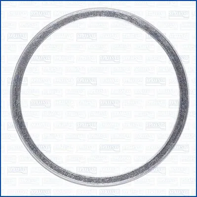 Seal Ring, exhaust pipe