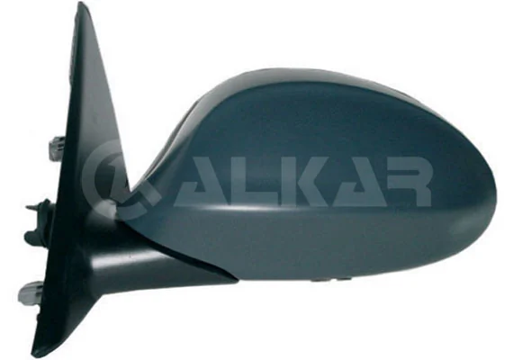 Exterior Mirror