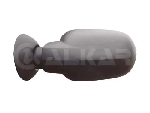 Exterior Mirror