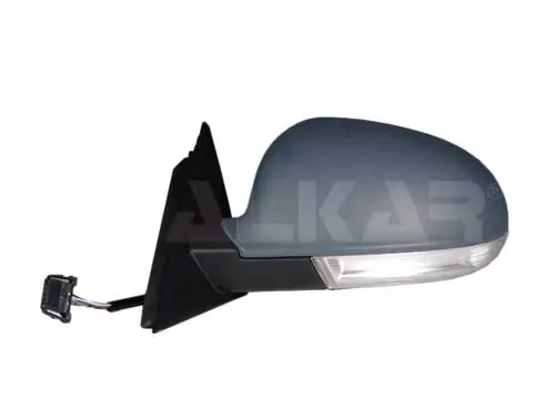 Exterior Mirror