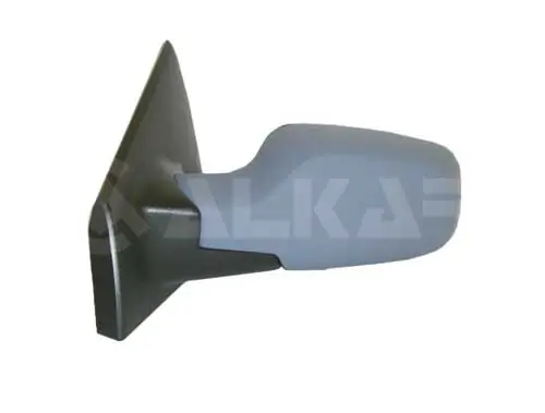 Exterior Mirror