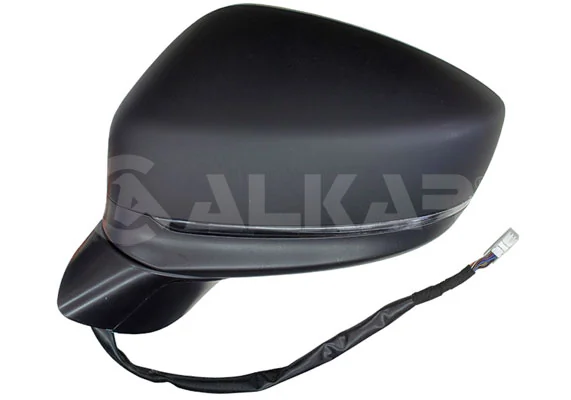 Exterior Mirror