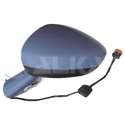 Exterior Mirror