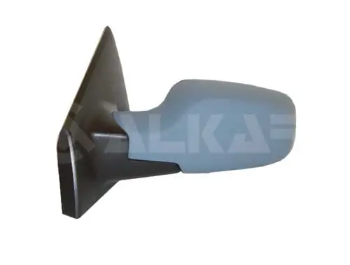 Exterior Mirror