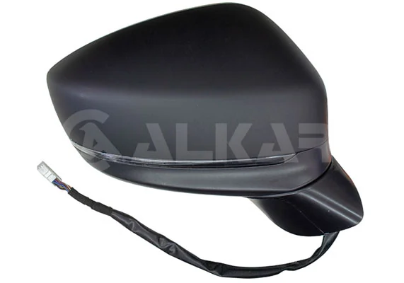 Exterior Mirror