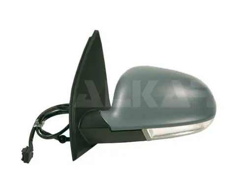 Exterior Mirror