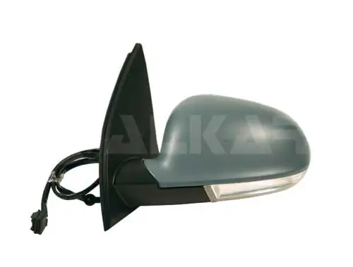 Exterior Mirror