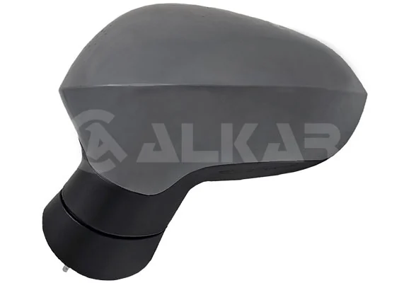 Exterior Mirror