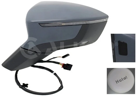 Exterior Mirror