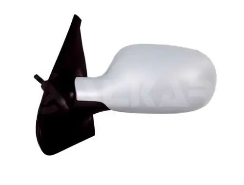 Exterior Mirror