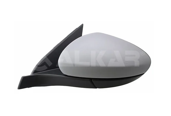 Exterior Mirror