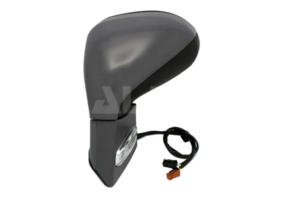 Exterior Mirror