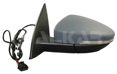 Exterior Mirror
