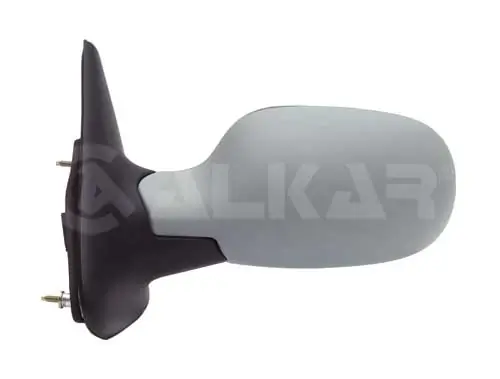 Exterior Mirror
