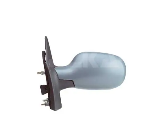 Exterior Mirror