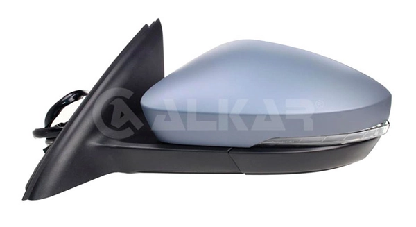 Exterior Mirror