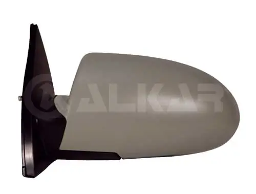 Exterior Mirror