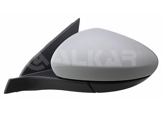 Exterior Mirror