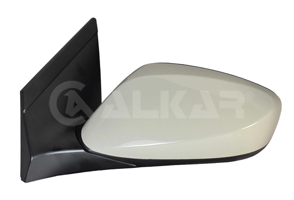Exterior Mirror