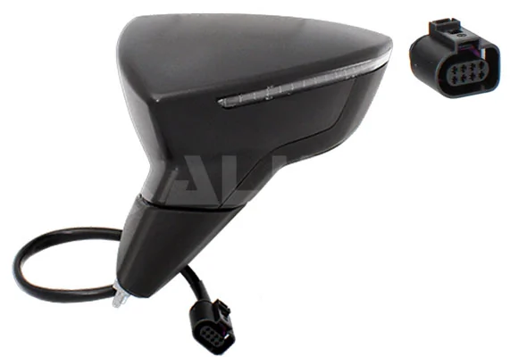 Exterior Mirror
