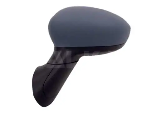 Exterior Mirror