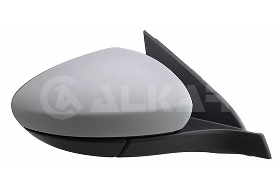 Exterior Mirror