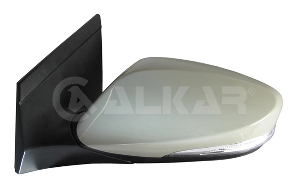 Exterior Mirror