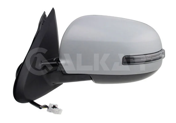 Exterior Mirror