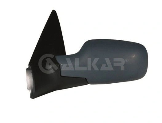Exterior Mirror