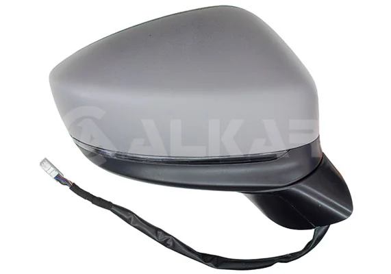 Exterior Mirror