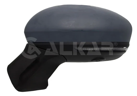 Exterior Mirror