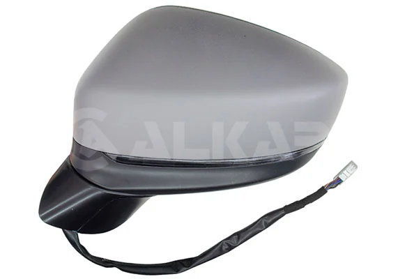 Exterior Mirror