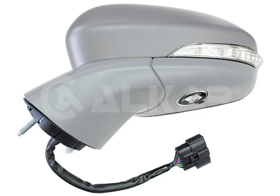 Exterior Mirror