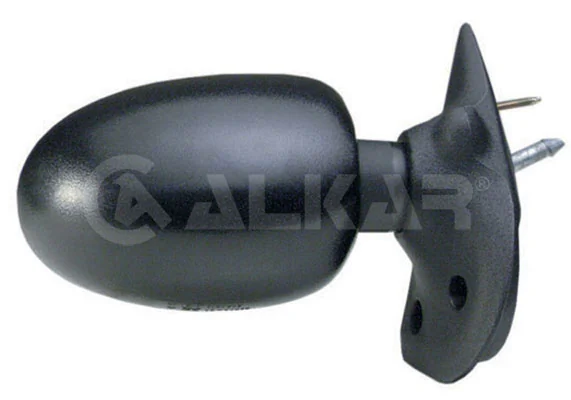 Exterior Mirror