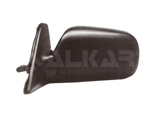 Exterior Mirror