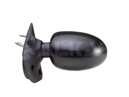 Exterior Mirror