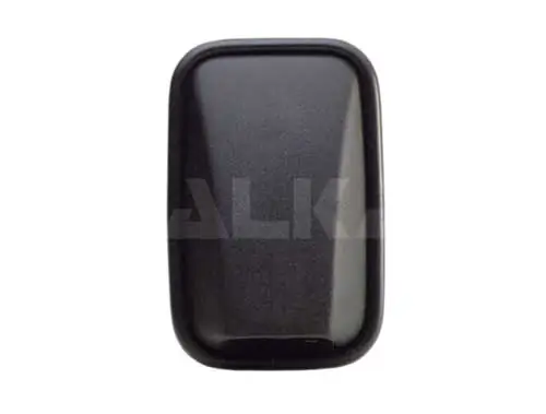 Exterior Mirror
