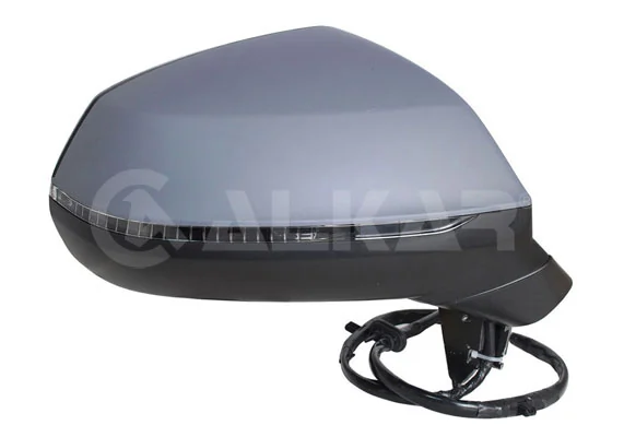 Exterior Mirror
