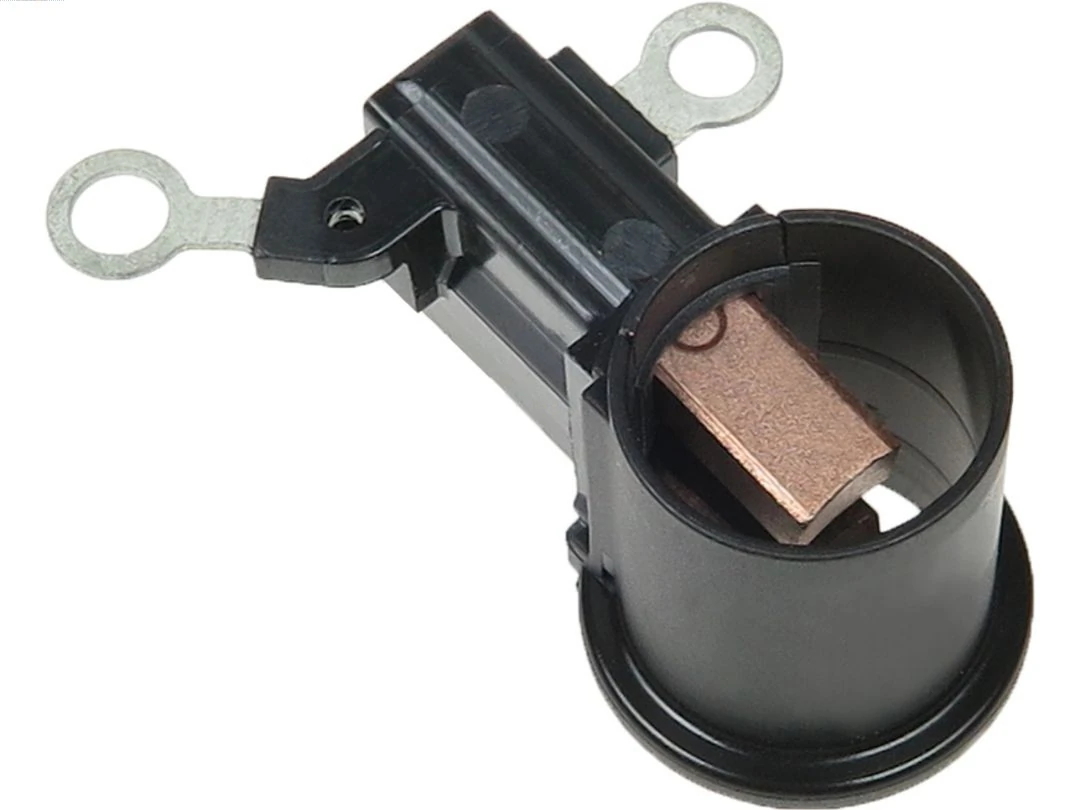 Holder, carbon brushes
