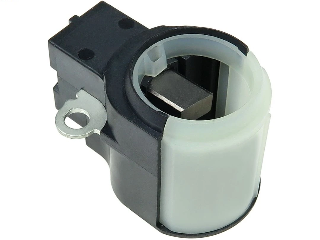 Holder, carbon brushes