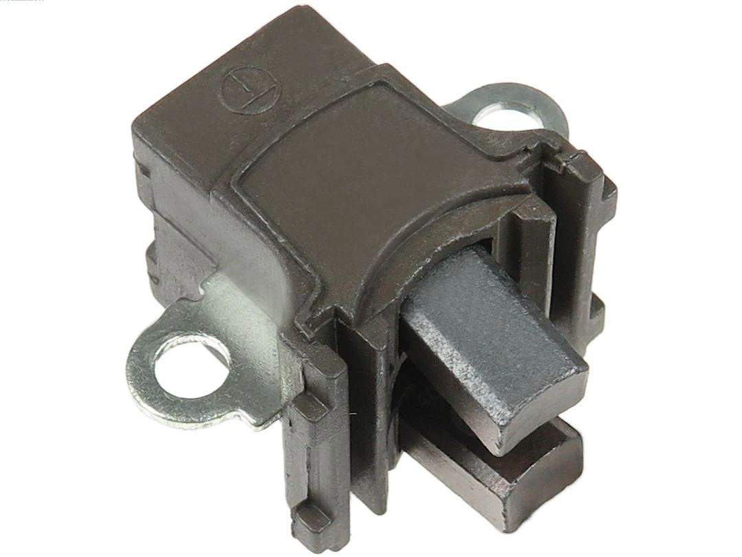 Holder, carbon brushes