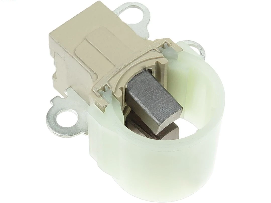 Holder, carbon brushes