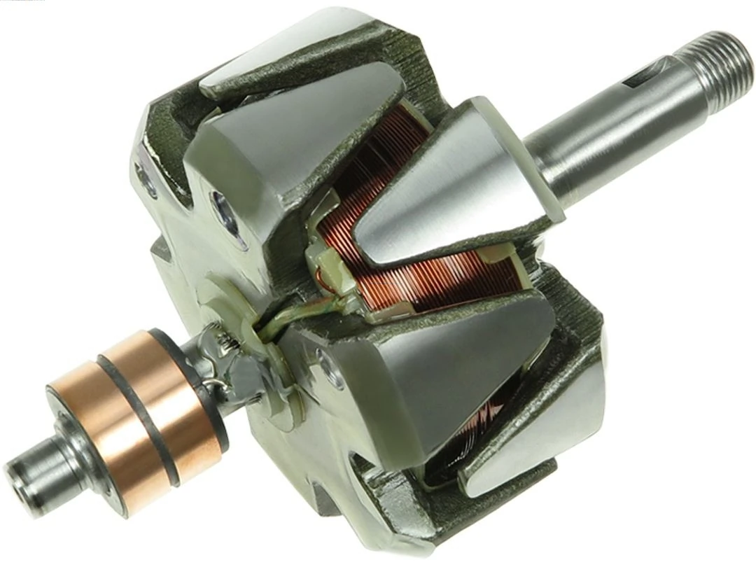 Rotor, alternator