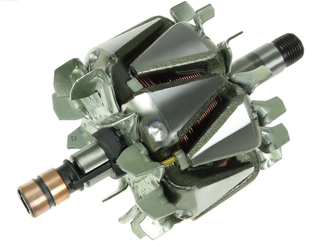 Rotor, alternator